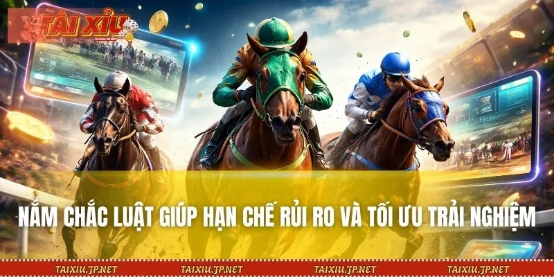 Nắm chắc luật giúp hạn chế rủi ro và tối ưu trải nghiệm giải trí