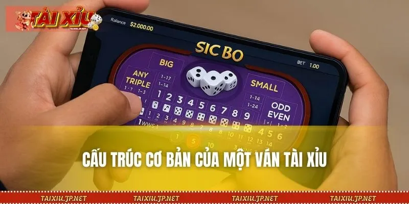 Tìm hiểu cấu trúc ván cược