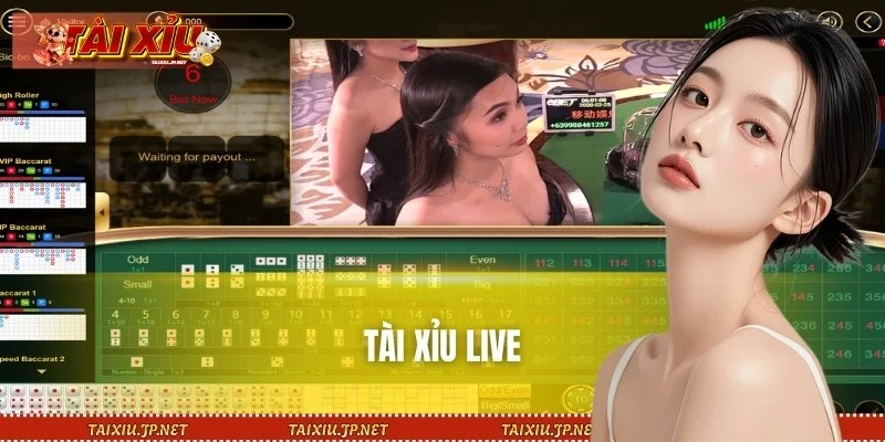 Dealer người thật điều hành ván cược Tài Xỉu Live minh bạch